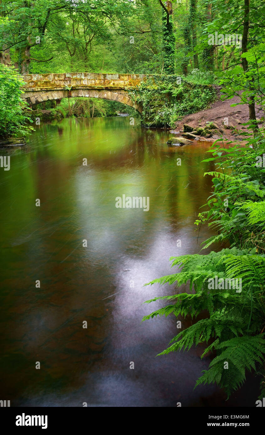 UK,South Yorkshire,Sheffield,Rivelin Valley,River Rivelin Reflections & Packhorse Bridge Stock Photo