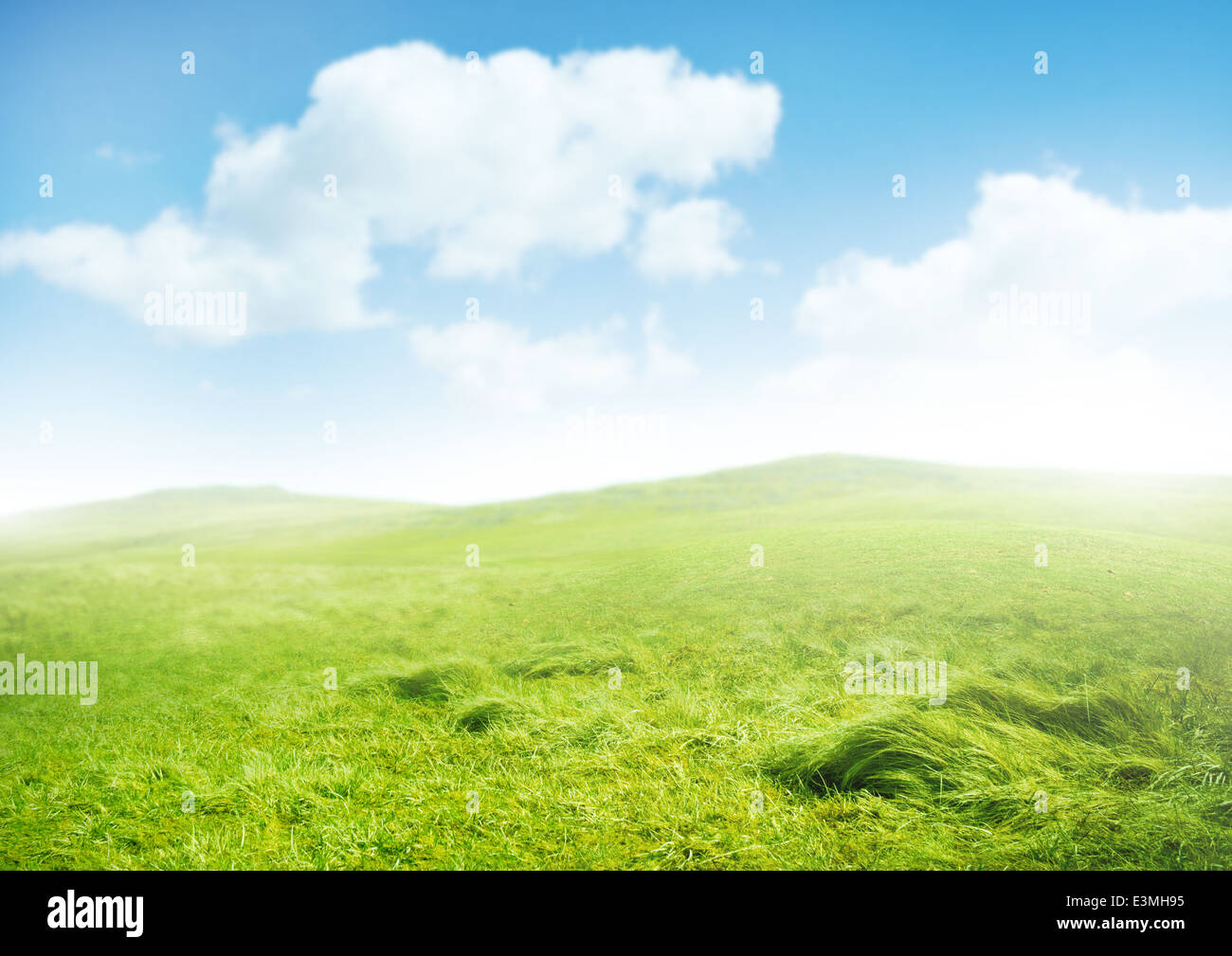 Misty Morning. Green rolling hills and a clear sky. Stock Photo