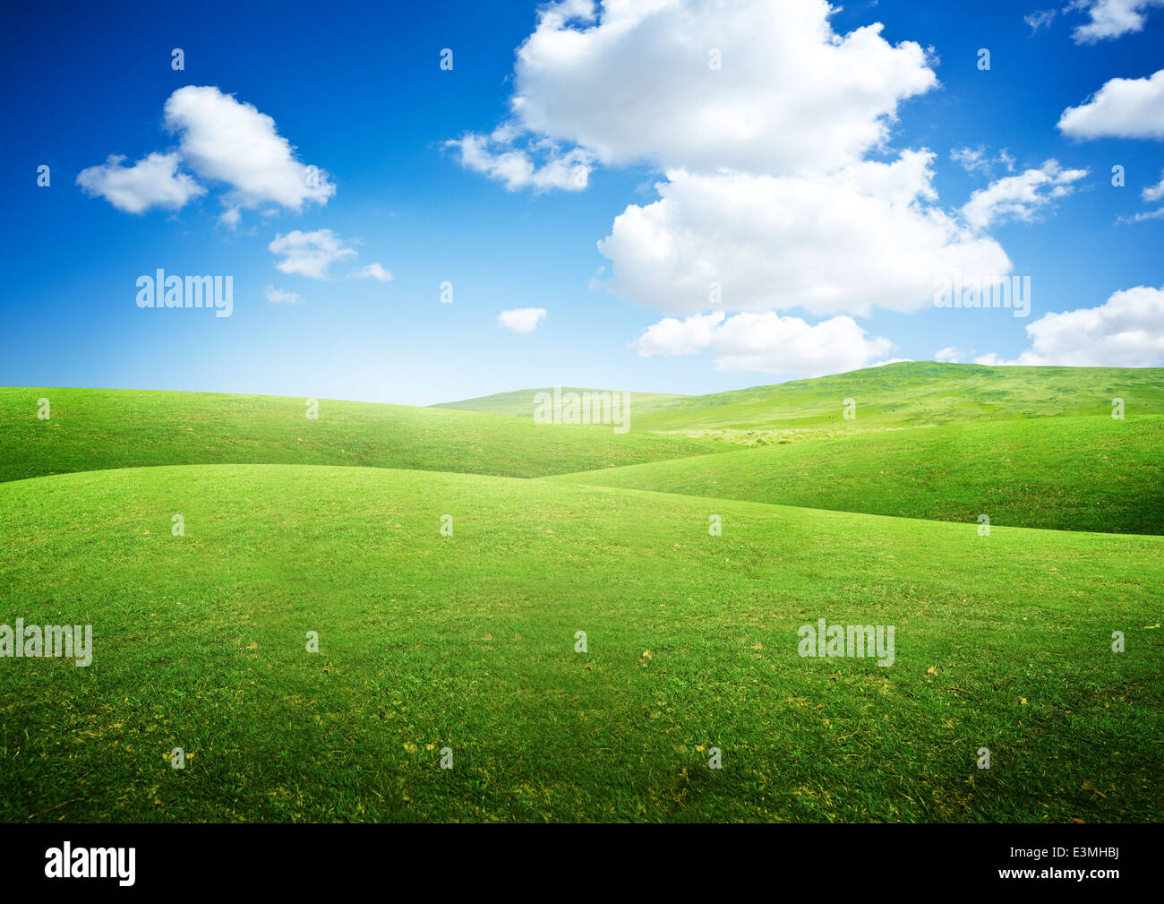 Green Rolling Fields summer background. Stock Photo