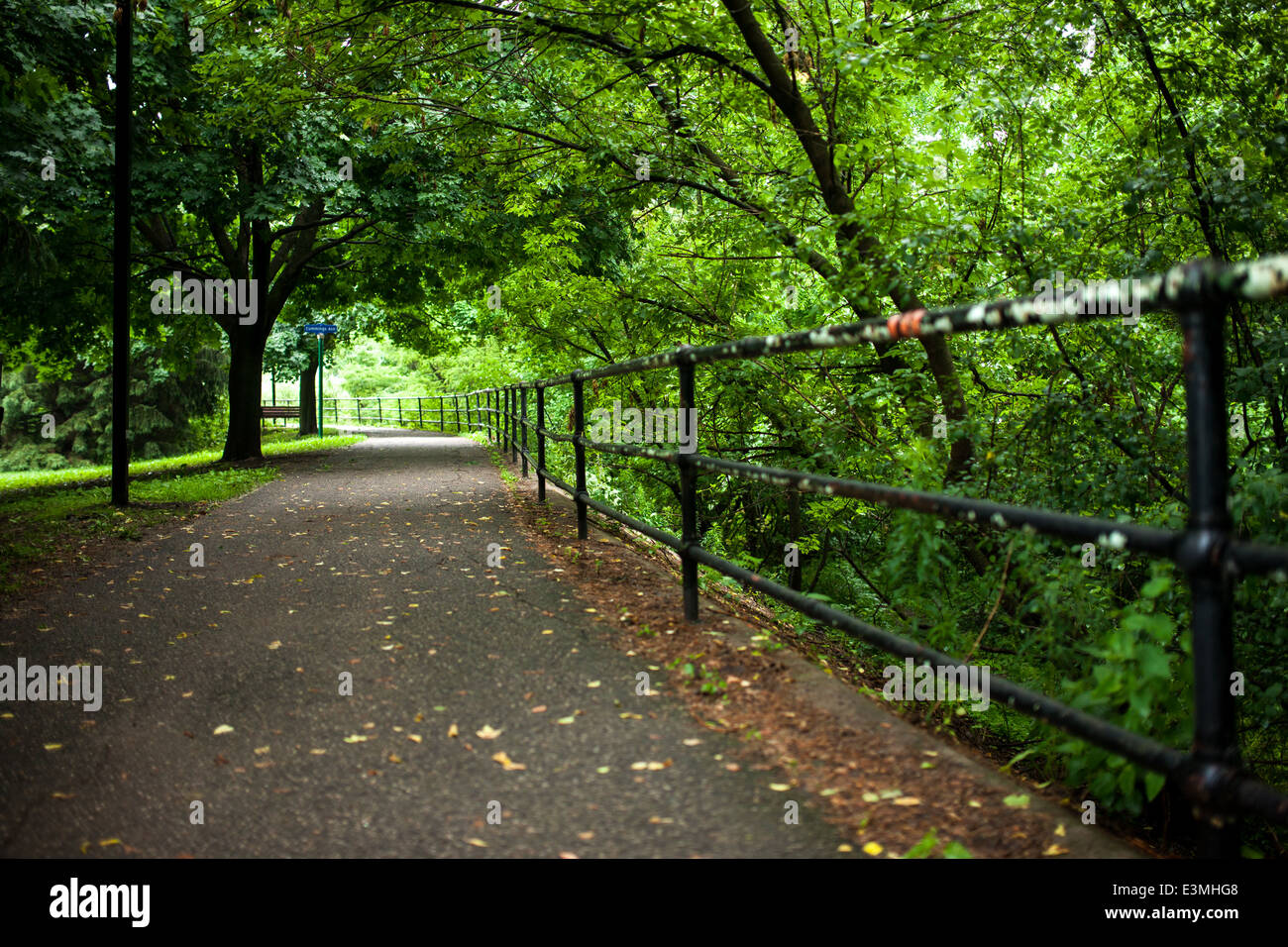 A tree lined paved pathway with old post and rail iron fence in London Ontario, Canada. Stock Photo