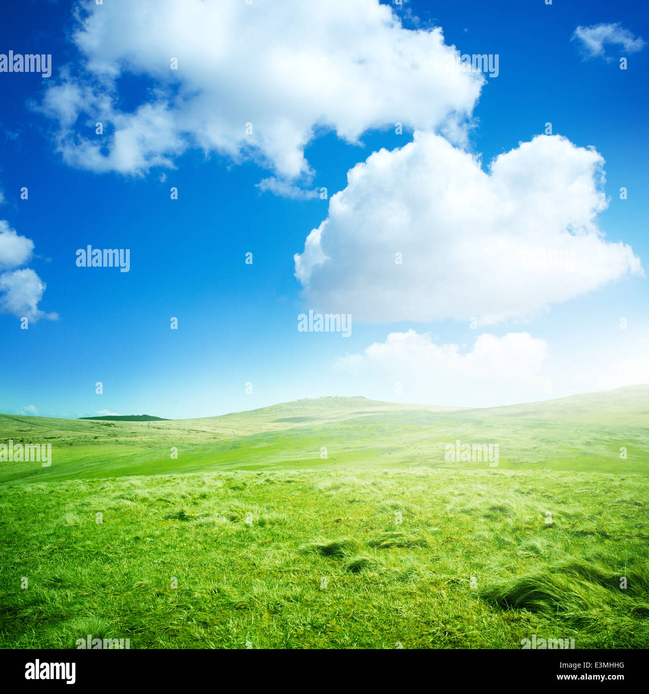 Green Rolling Fields summer background. Stock Photo