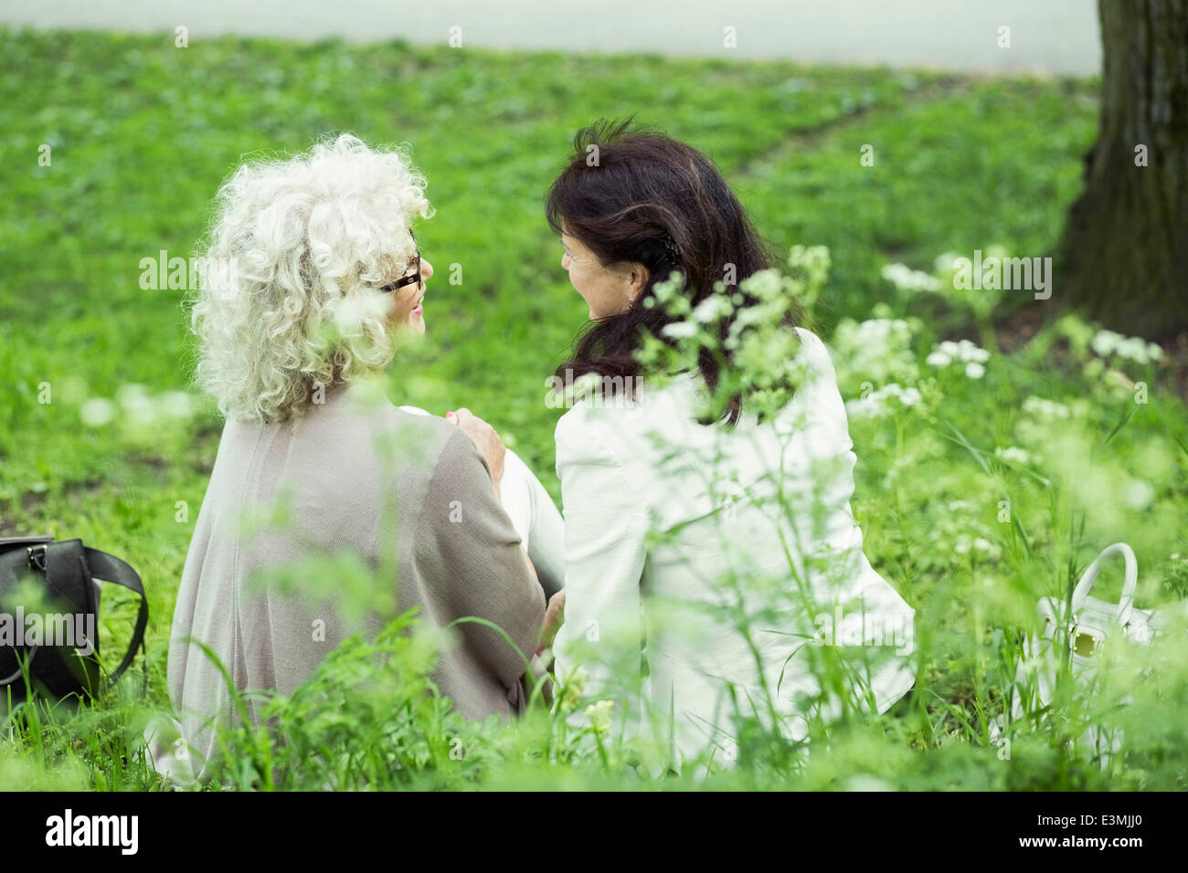 Rear view of senior women relaxing in park Stock Photo - Alamy
