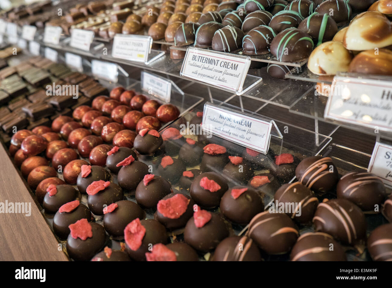 An assortment of gourmet chocolates, labeled & in rows on trays in a display at an artisan chocolatier's store Stock Photo