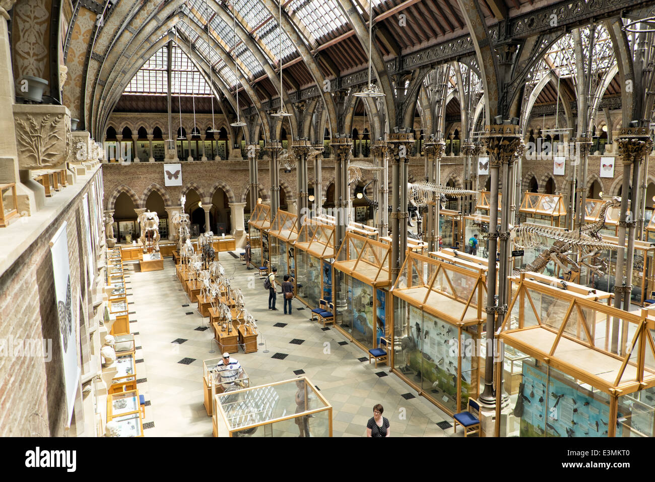 The interior of the natural history museum in Oxford, Oxfordshire, UK showing visitors, exhibits & the Victorian architecture. Stock Photo