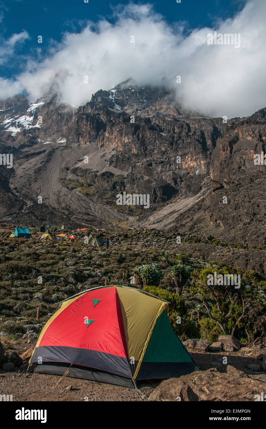 Tents camped in the shadow of Kilimanjaro on the Machame route Stock Photo
