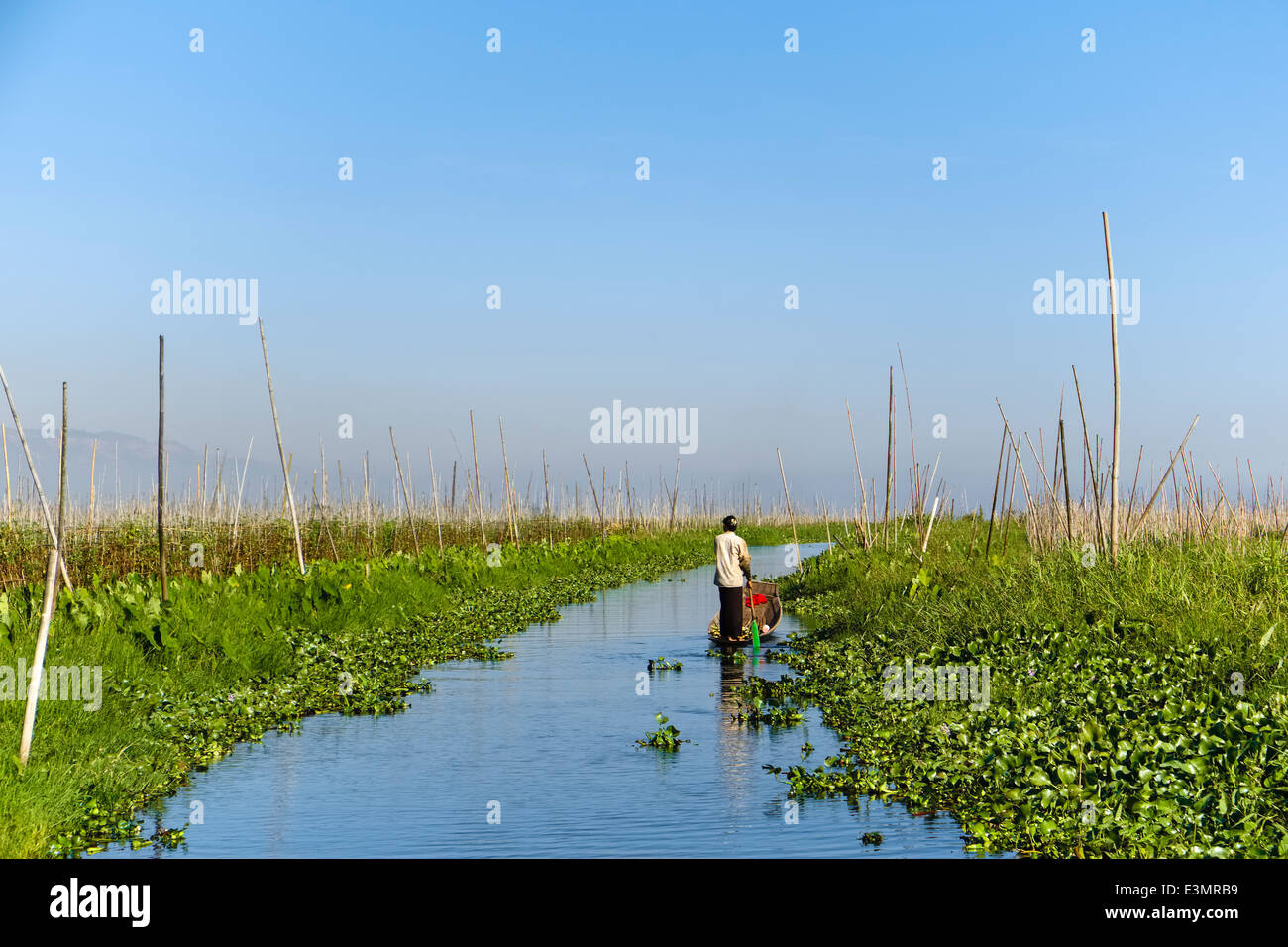 Floating gardens, Inle Lake, Myanmar, Asia Stock Photo