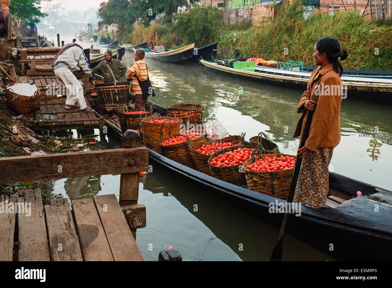 Farmers unload tomatoes, Nyaung Shwe, Inle Lake, Myanmar, Asia Stock Photo