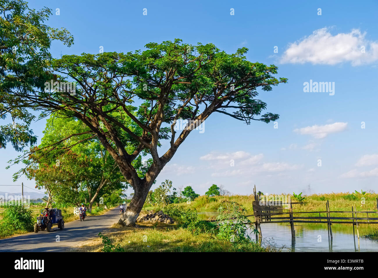 Canopy road hi-res stock photography and images - Alamy