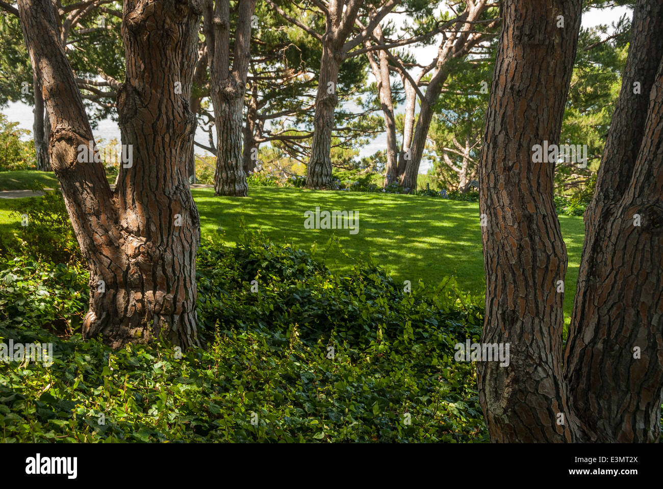 Beautiful garden lawn surrounding Wayfarers Chapel at Palos Verdes overlooking the Pacific Ocean near Los Angeles, California. Stock Photo