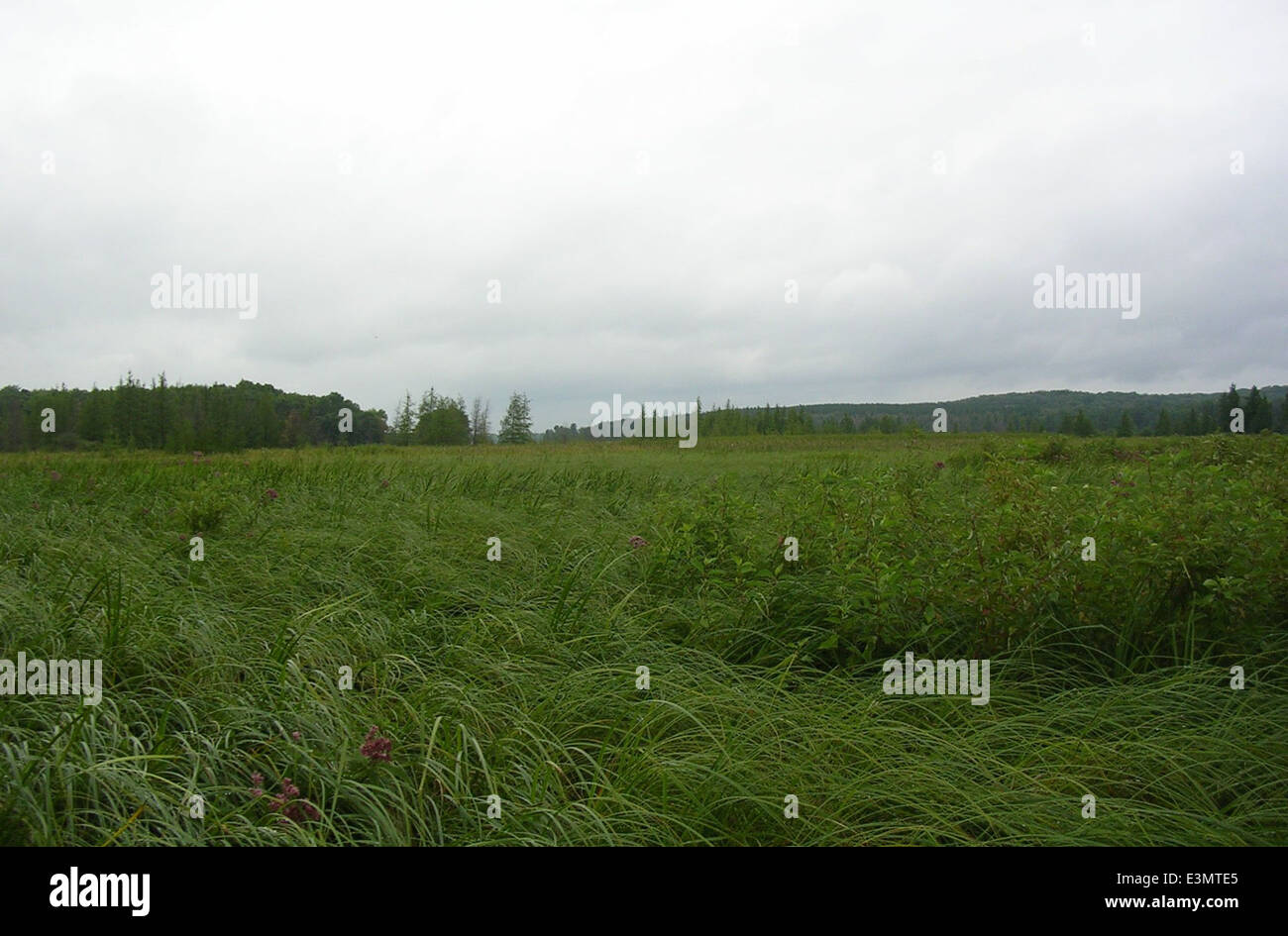 Fox River Stock Photo - Alamy