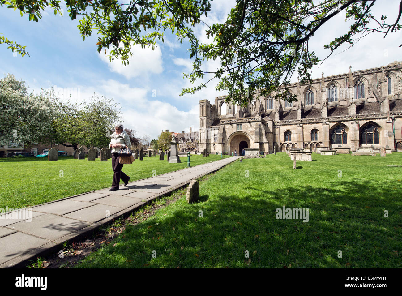 A visitor on the path leading from the historic Malmesbury Abbey in the Cotswolds, Wiltshire, UK Stock Photo