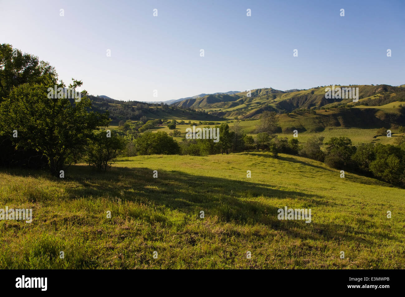A Coastal Range cattle ranch in central CALIFORNIA Stock Photo Alamy