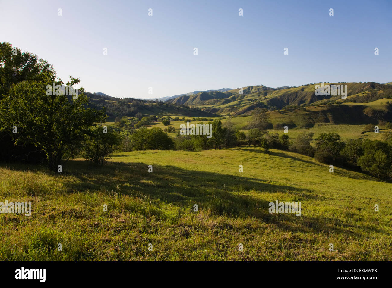 A Coastal Range cattle ranch in central CALIFORNIA Stock Photo