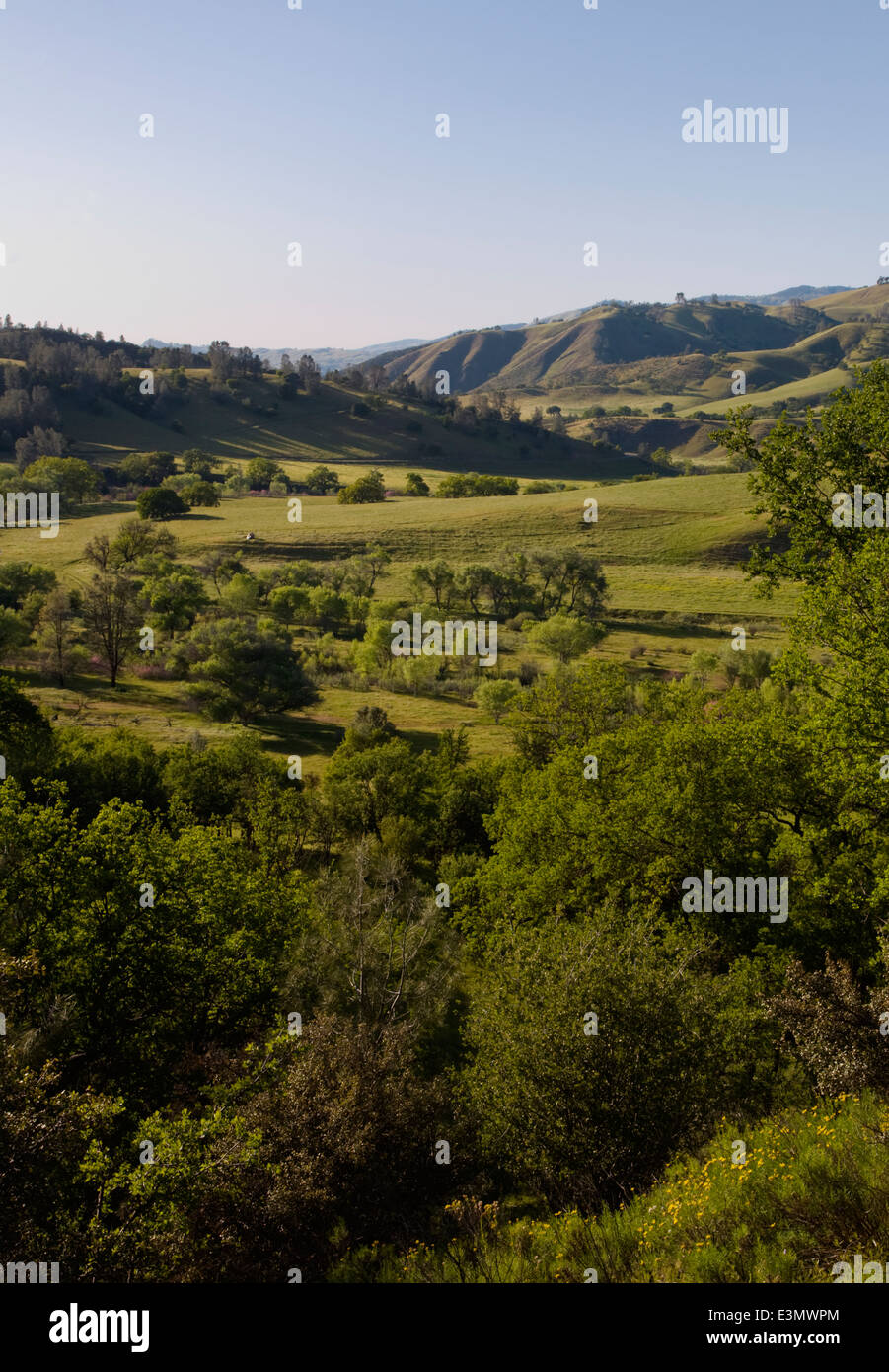 A Coastal Range cattle ranch in central CALIFORNIA Stock Photo