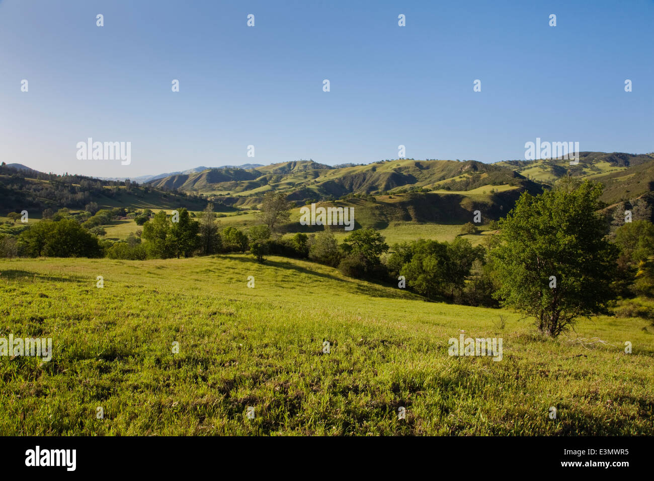 A Coastal Range cattle ranch in central CALIFORNIA Stock Photo