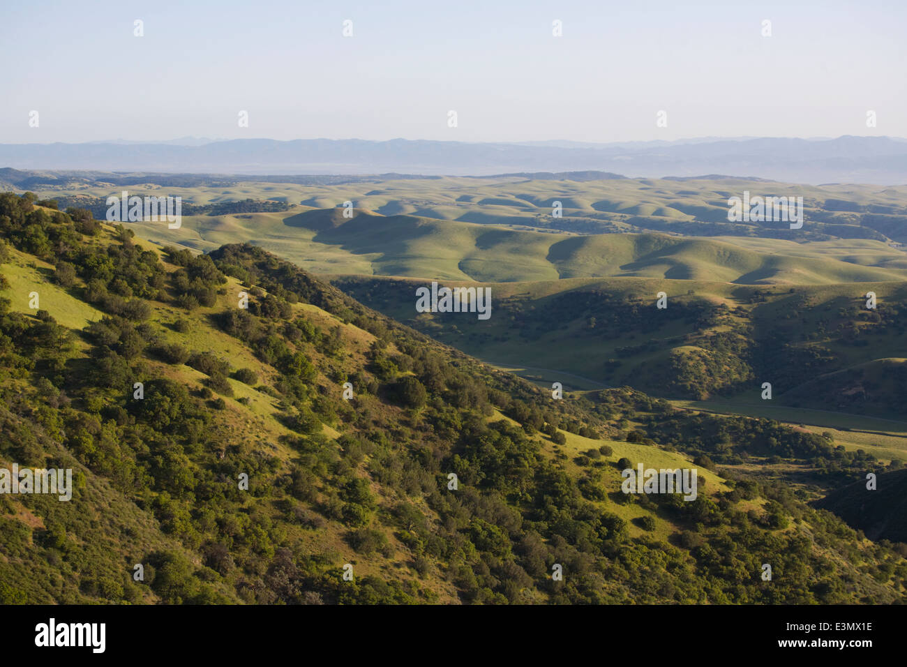 A Coastal Range cattle ranch in central CALIFORNIA Stock Photo Alamy