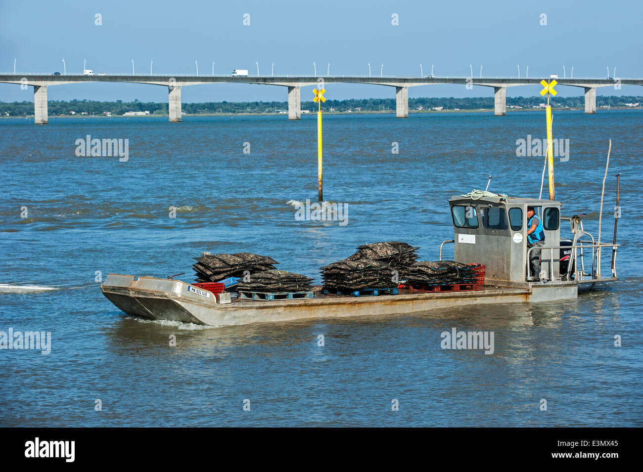 The bridge pont de l'île d'Oléron and flat bottomed oyster boat with bags of harvested oysters at Bourcefranc-le-Chapus, France Stock Photo