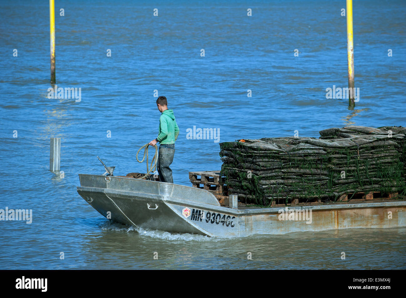 Flat-bottomed oyster boat loaded with bags filled with harvested oysters at Bourcefranc-le-Chapus, Charente-Maritime, France Stock Photo