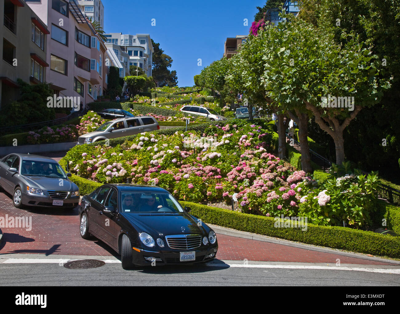 Tourists enjoy DRIVING the twists and turns of LOMBARD STREET - SAN FRANCISCO, CALIFORNIA Stock Photo