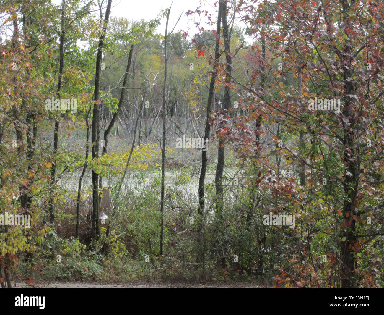 Patoka wildlife refuge hi-res stock photography and images - Alamy