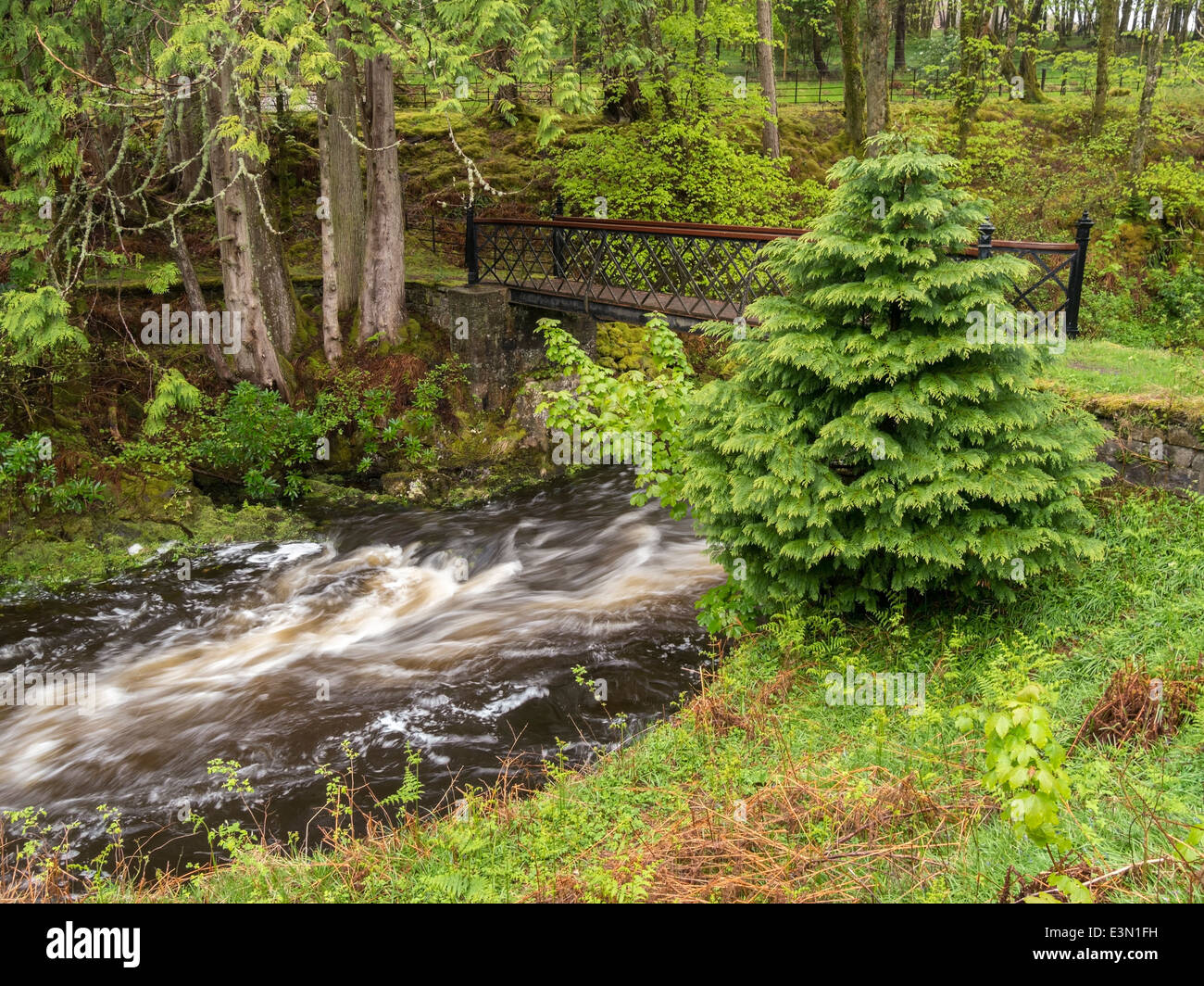 Iron footbridge over fast flowing stream in green woodland, Kilmarie, Isle of Skye, Scotland, UK Stock Photo