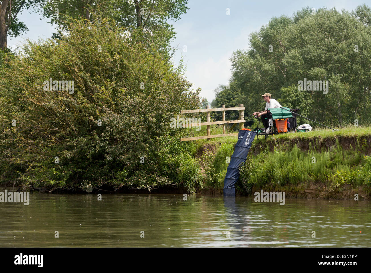 Angler angling, the River Thames at Wallingford, Oxfordshire England UK Stock Photo