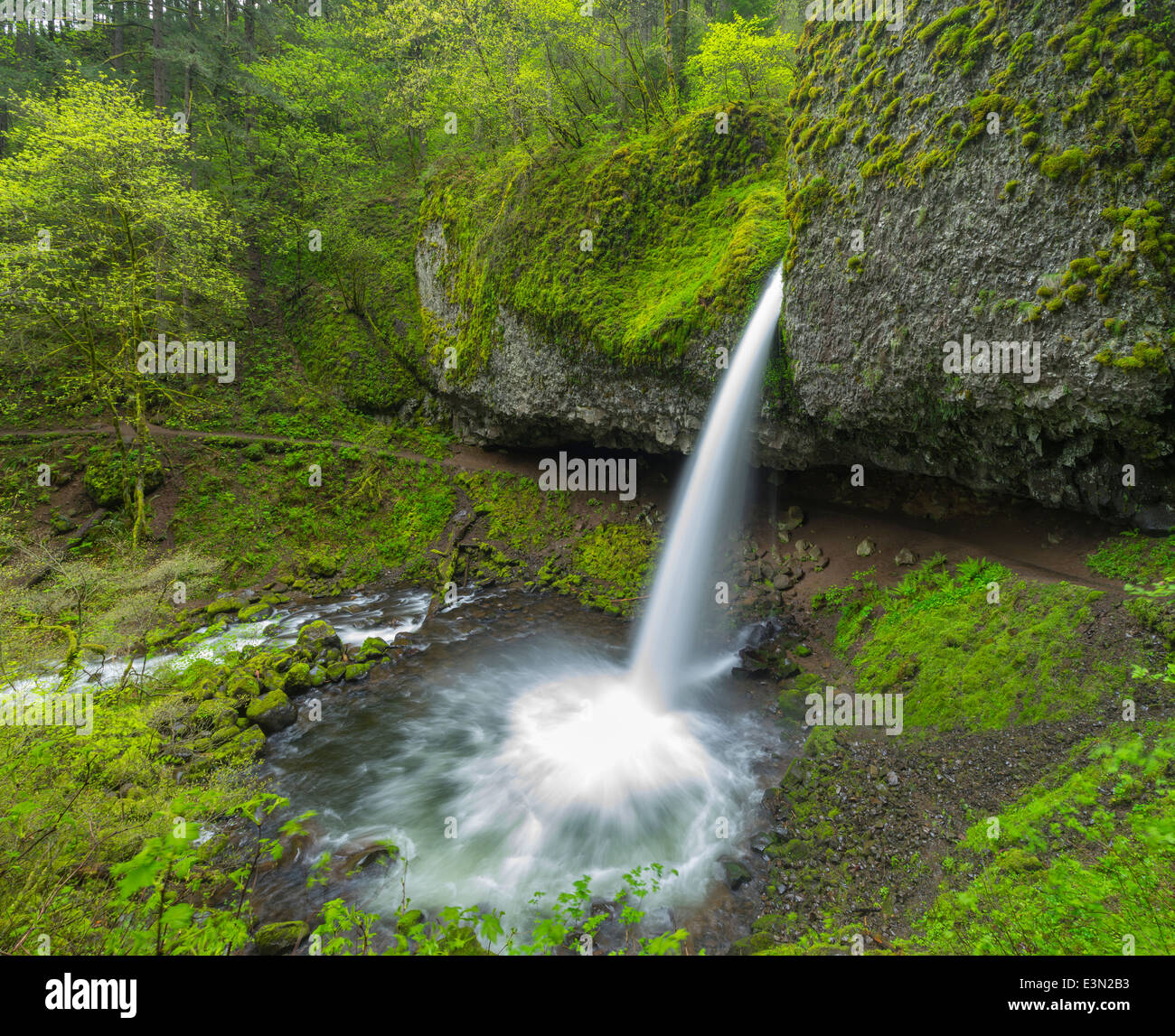 Columbia Gorge National Scenic Area, OR Ponytail falls on Horsetail creek Stock Photo