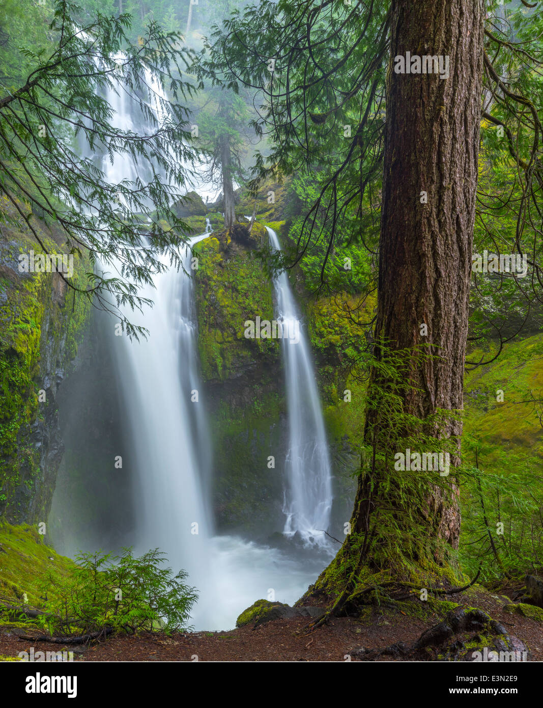 Gifford pinchot national forest hires stock photography and images Alamy