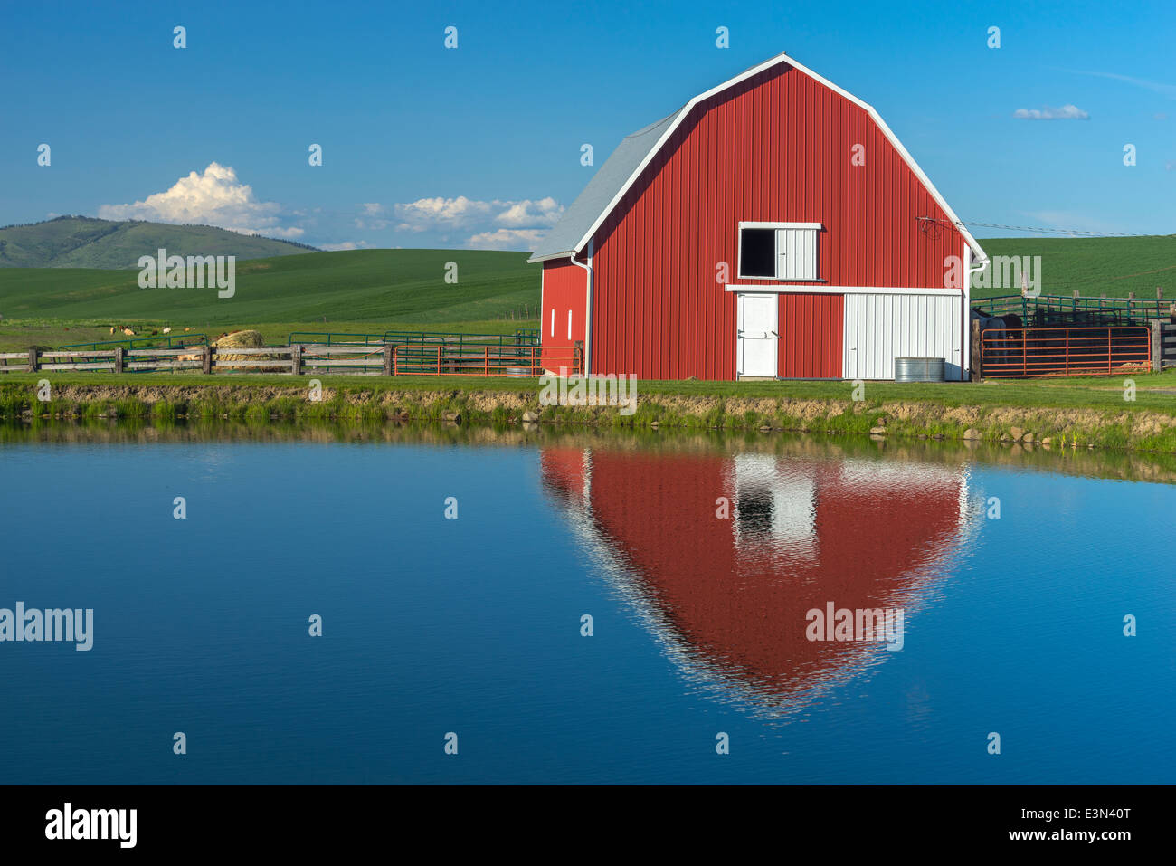 The Palouse, Whitman County, WA: Red barn and pond reflection Stock Photo