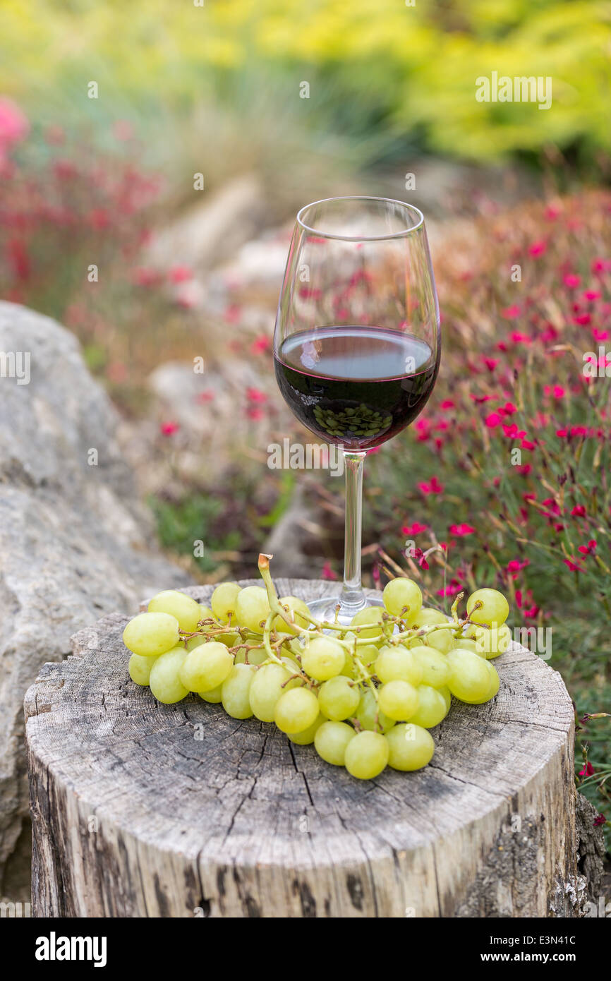 Glass of red wine with white grapes on a wooden block in the garden Stock Photo
