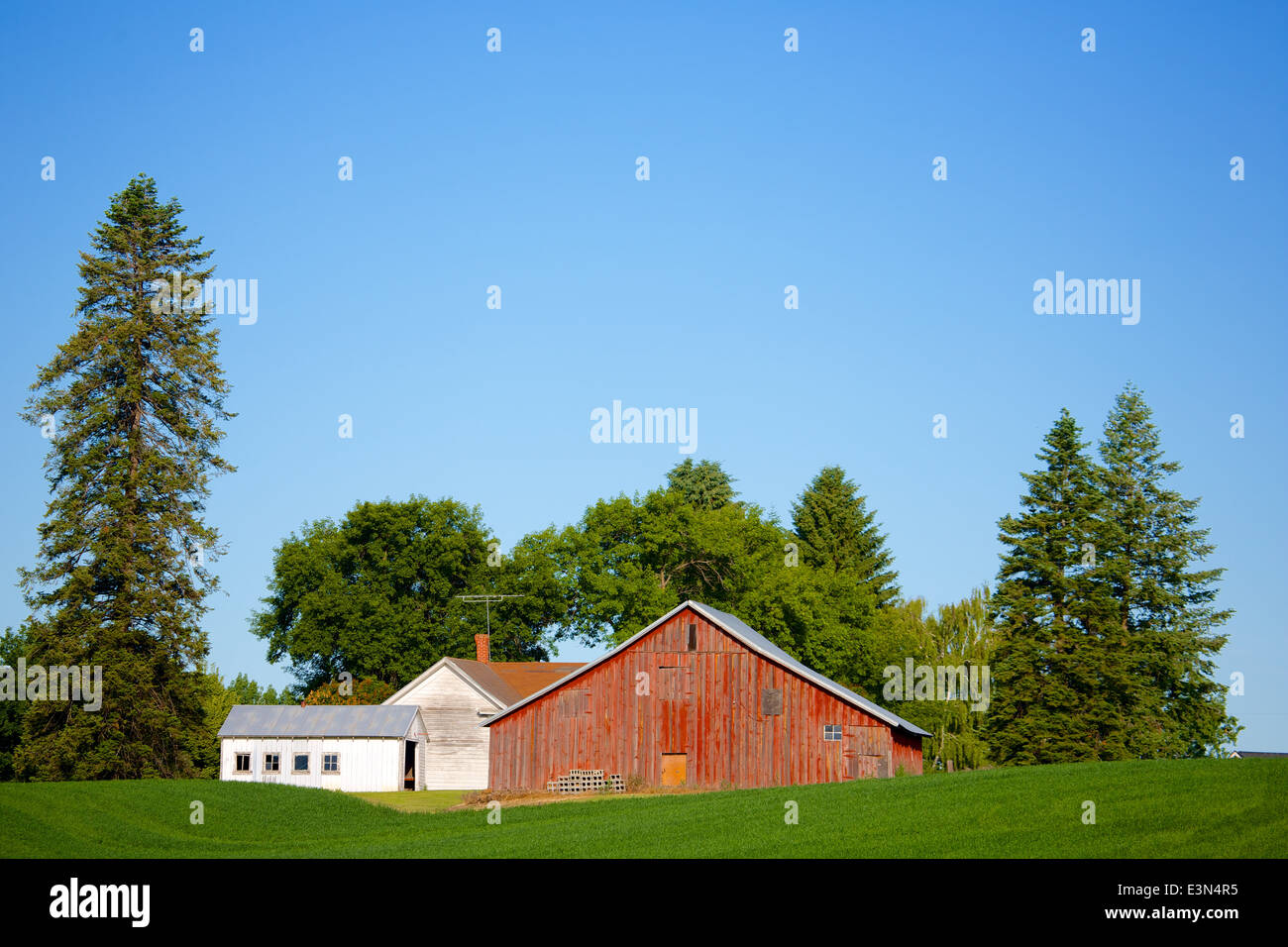 Beautiful country scene of America's heartland, the farming region of the Palouse in Washington State and Idaho. Stock Photo