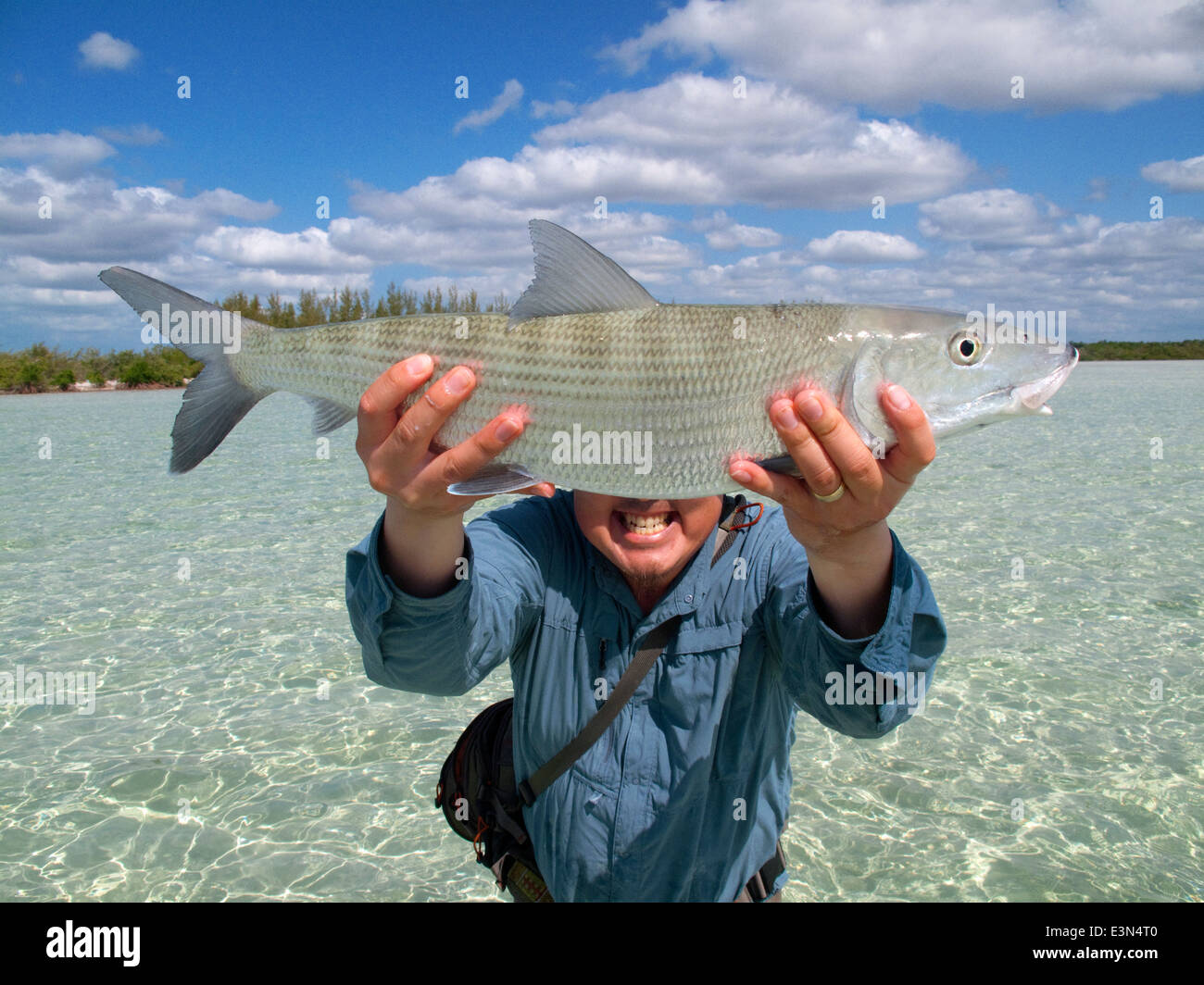Saltwater fly fishing for bonefish in the islands of the Bahamas Stock Photo Alamy