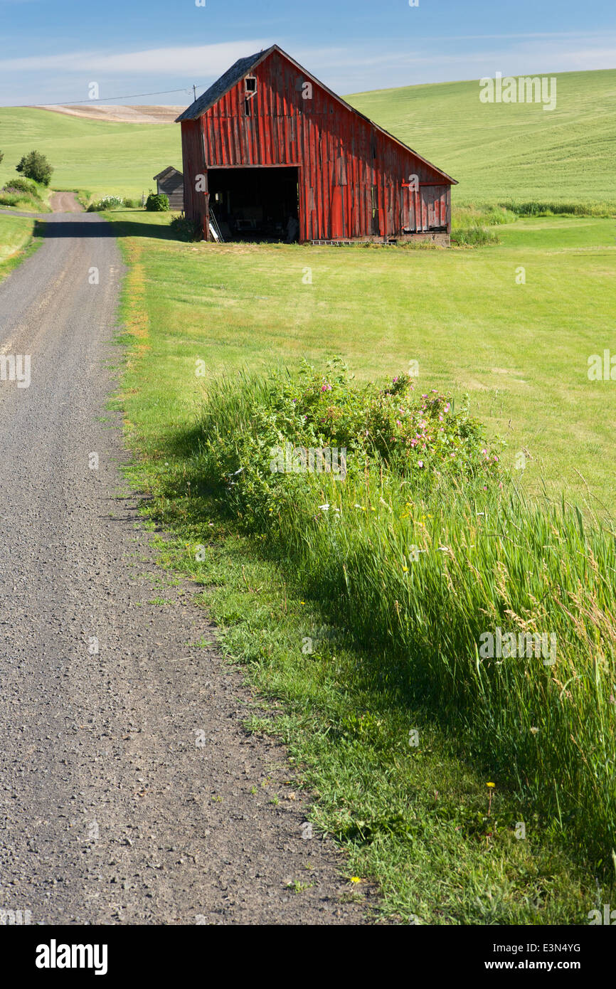Beautiful country scene of America's heartland, the farming region of the Palouse in Washington State and Idaho. Stock Photo