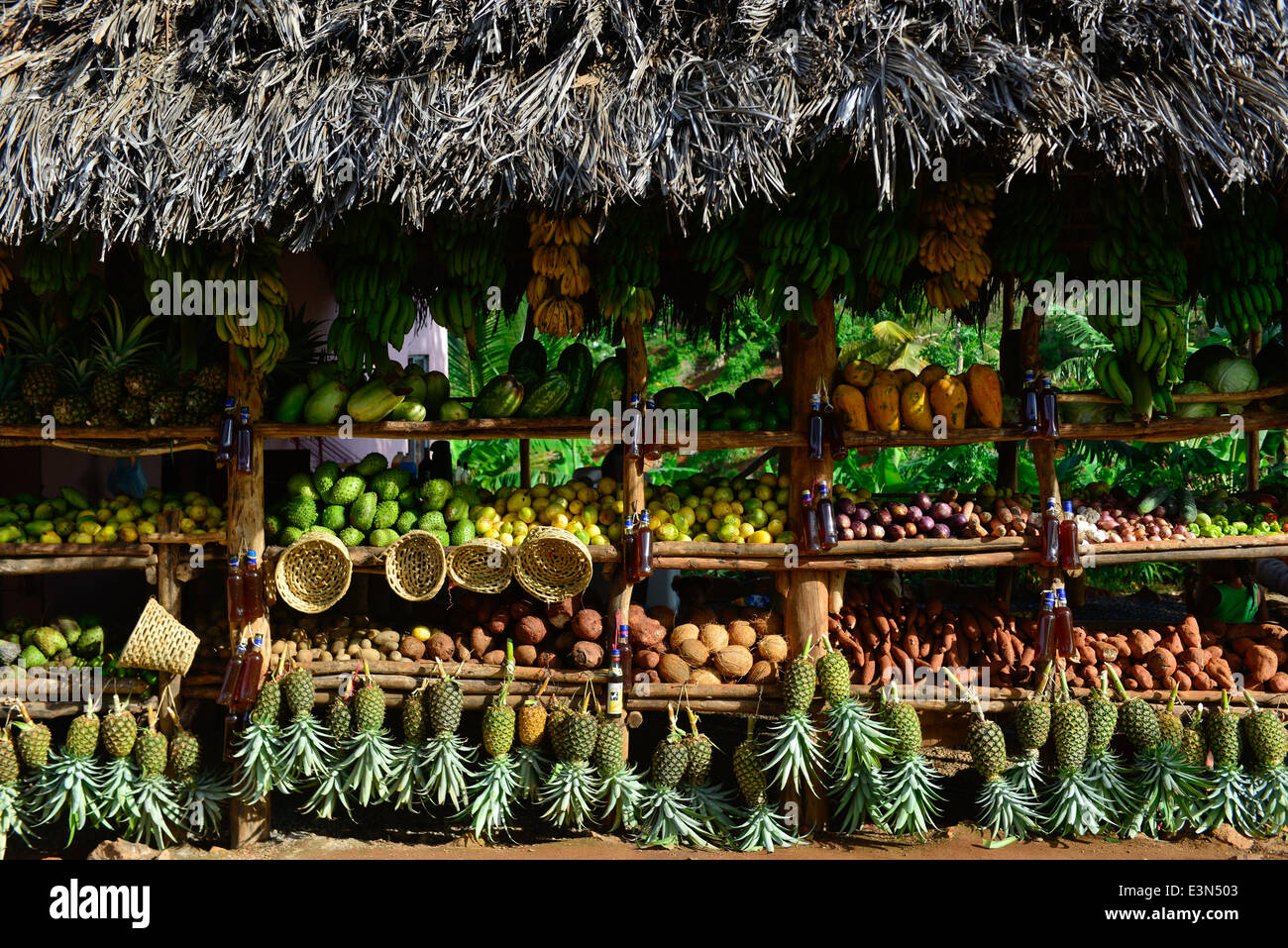 Roadside Fruit Stand, Dominican Republic Stock Photo Alamy