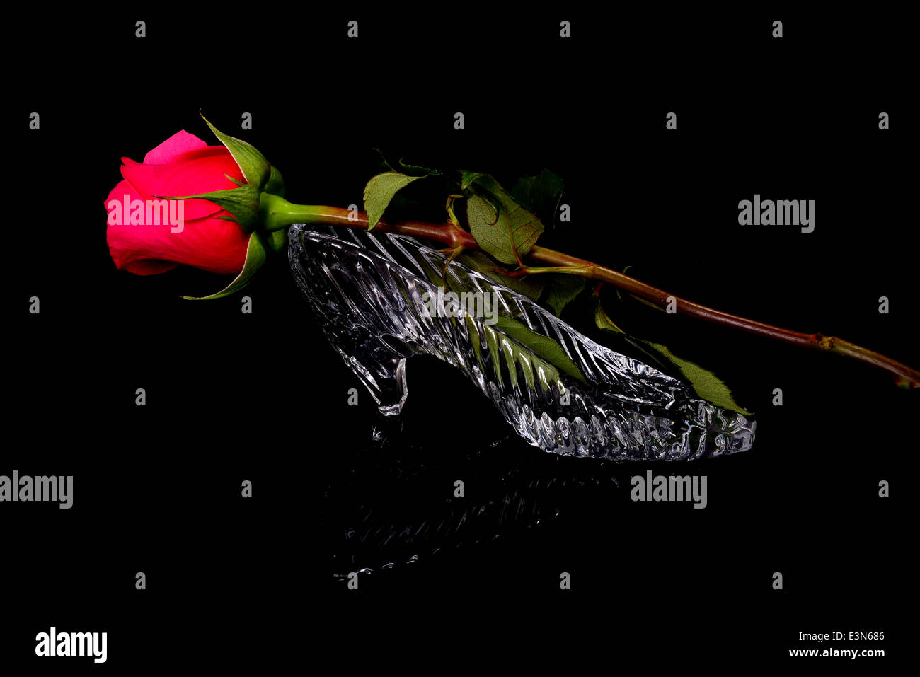 Glass slipper and Red rose isolated over a black background Stock Photo