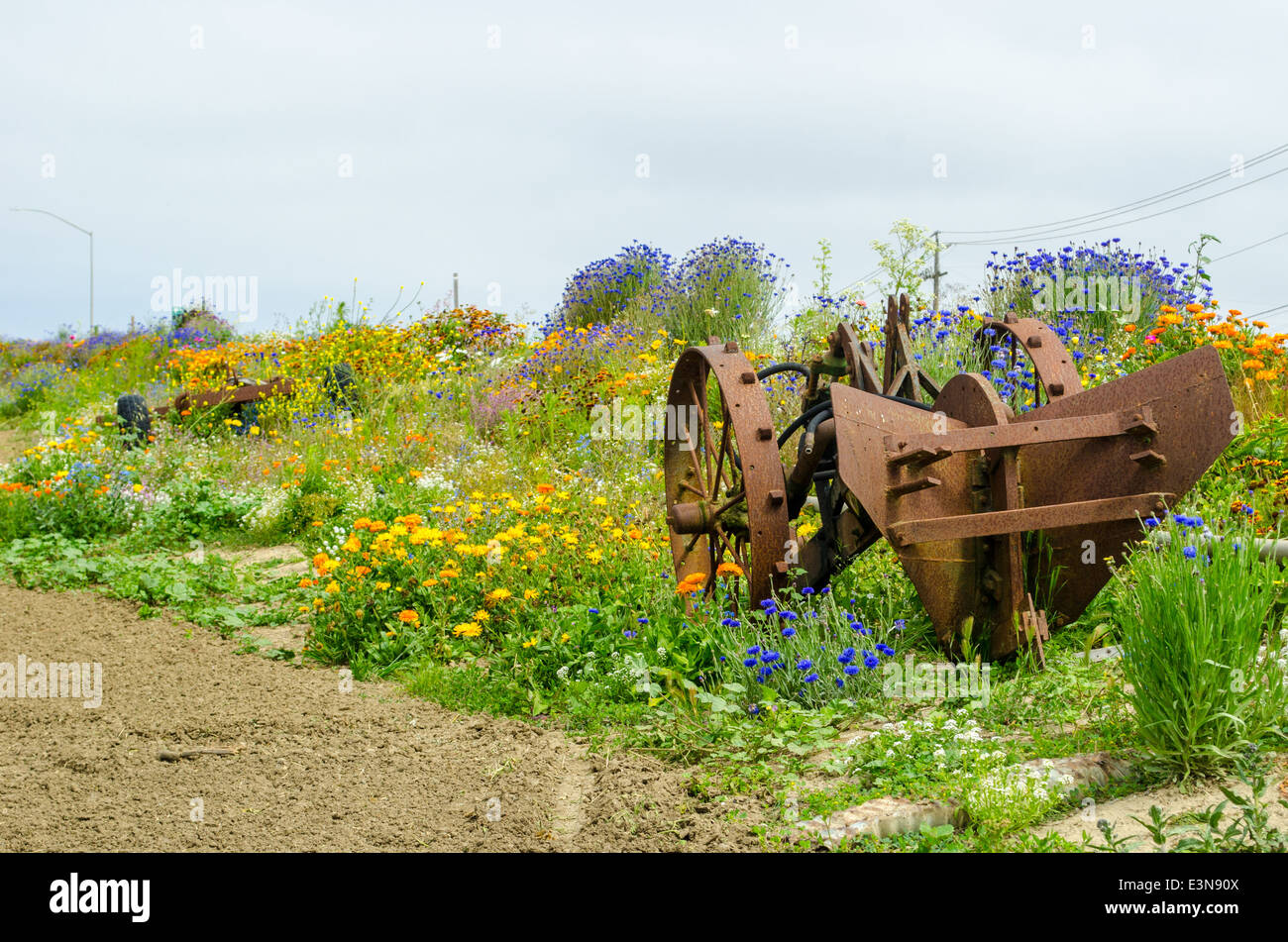 old farming equipment on display at Pezzeni Farms, Castroville CA Stock Photo