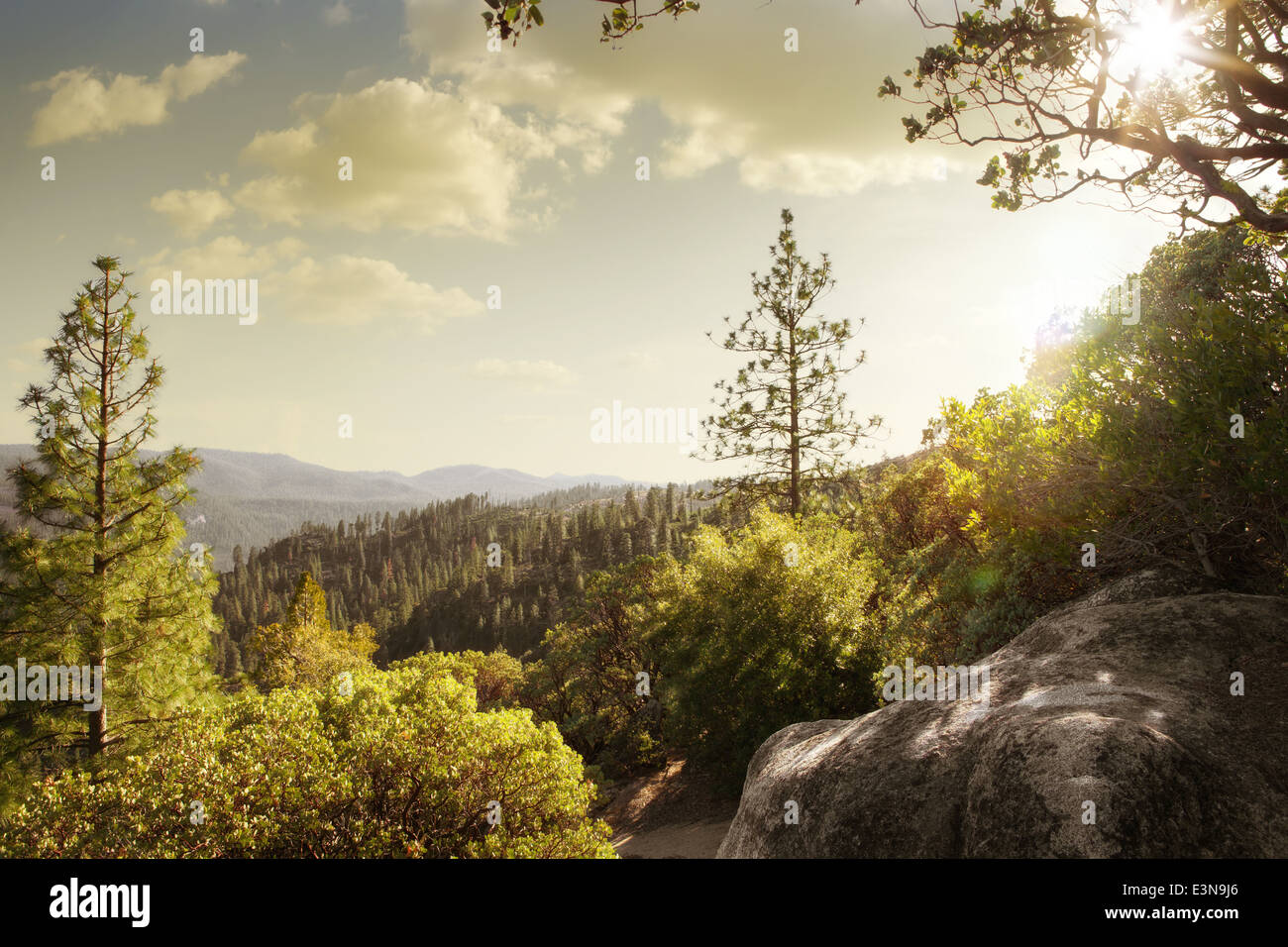 Sunset Rocks Trees landscape view of big piece of rock with trees during sunset Stock ...