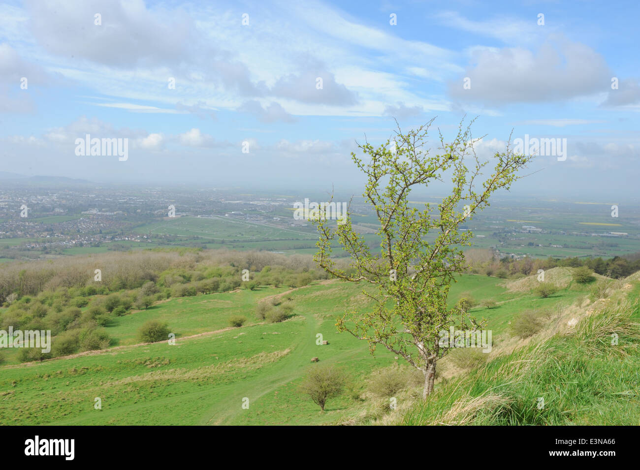 Rural Escarpment on Cleeve Common with Views to Cleeve, between