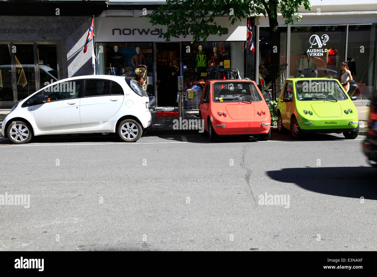 In Norway there are in large numbers electric cars made by different international manufacturers