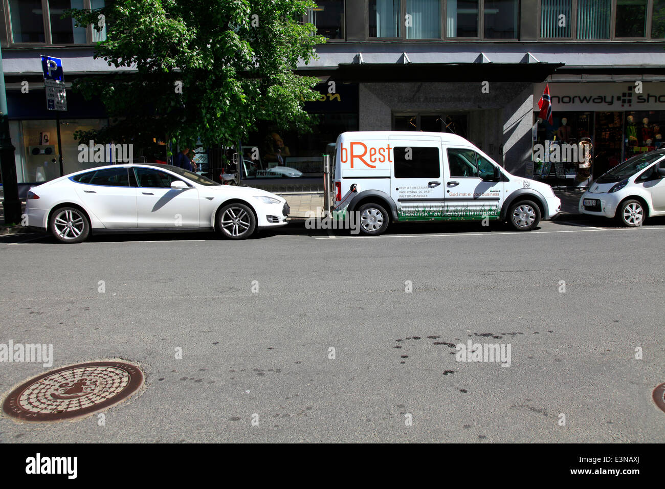 In Norway there are in large numbers electric cars made by different international manufacturers