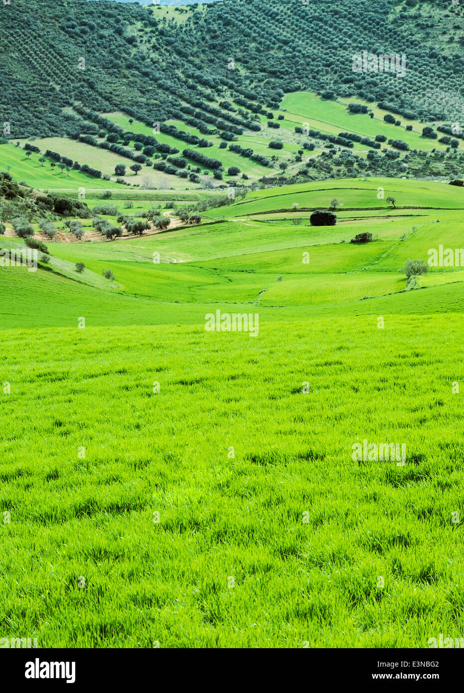 Tranquil scene of rural landscape Stock Photo
