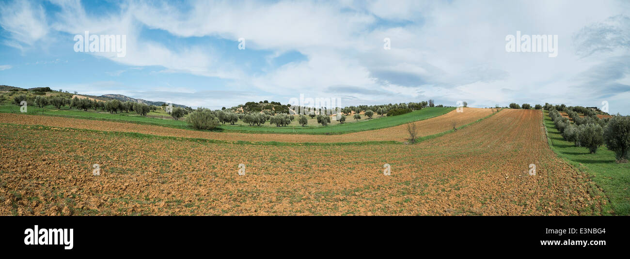 Tranquil view of agricultural landscape against cloudy sky Stock Photo