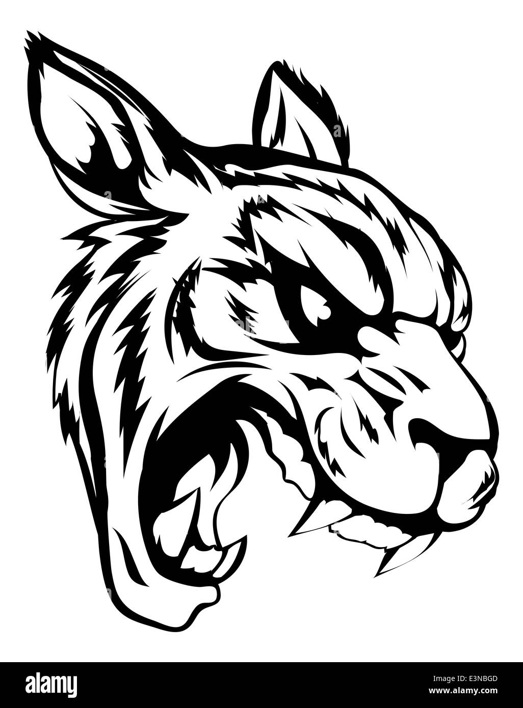 fierce white tiger drawing