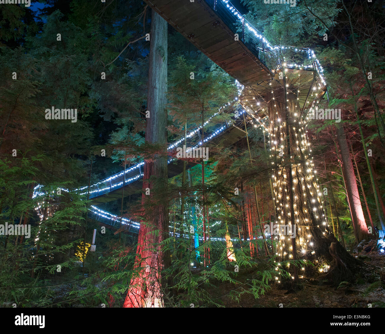 View of illuminated Capilano Suspension Bridge Park, Vancouver, British Columbia, Canada Stock Photo