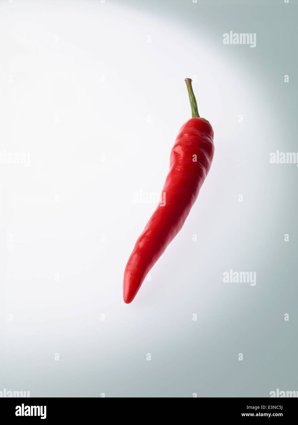 Red chili over gray background Stock Photo