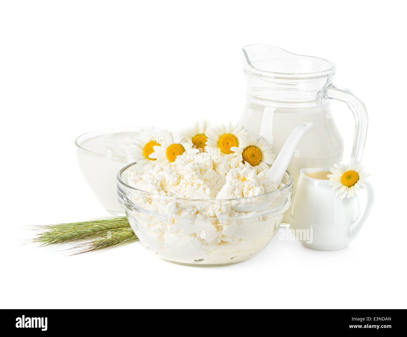 Dairy Products. Milk, cream, sour cream and cottage cheese Stock Photo