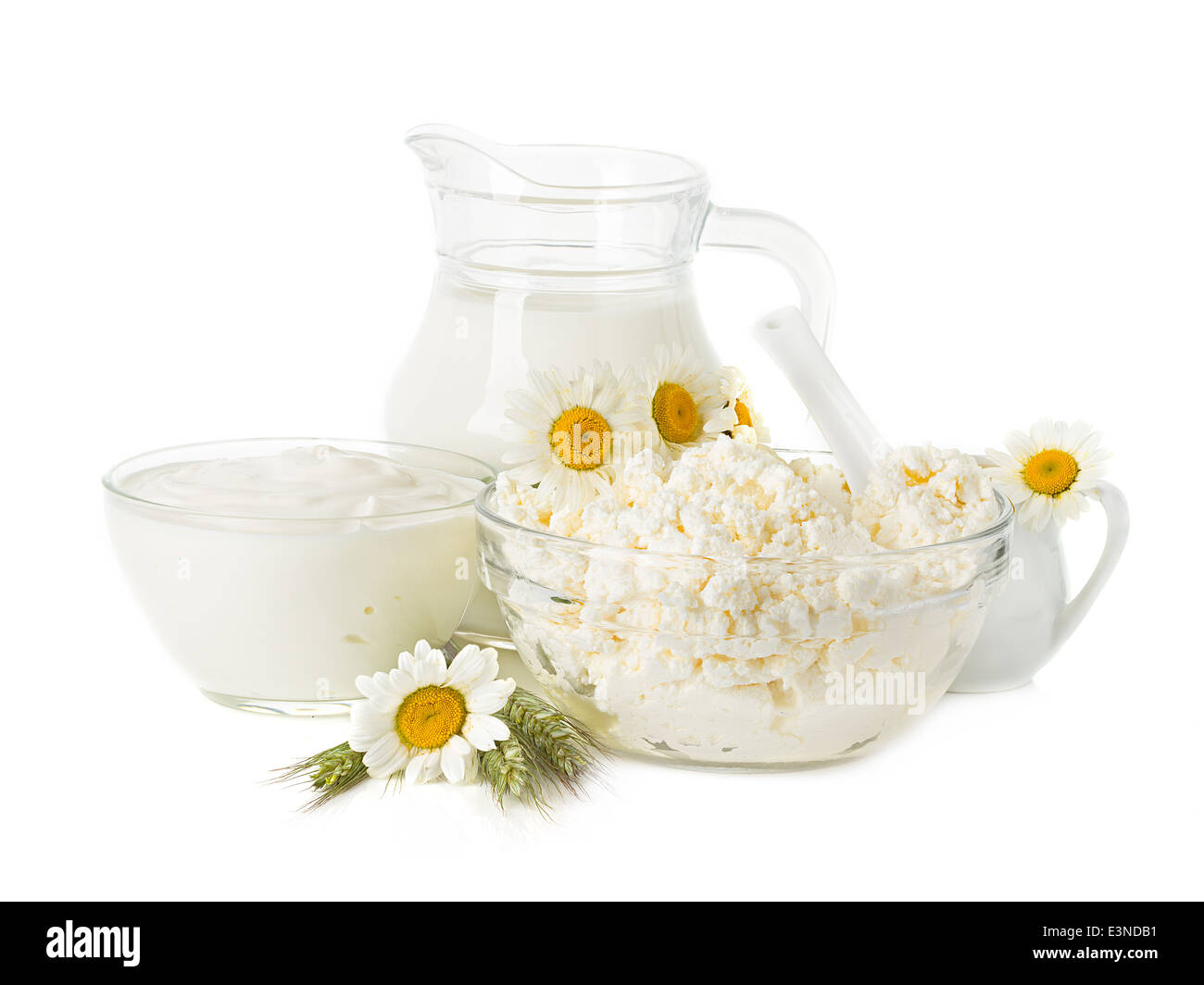 Dairy Products. Milk, cream, sour cream and cottage cheese Stock Photo