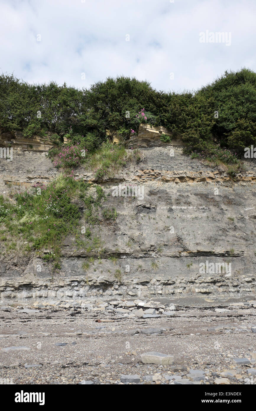 Rock Cliff Erosion on the beach at Penarth South Wales Stock Photo