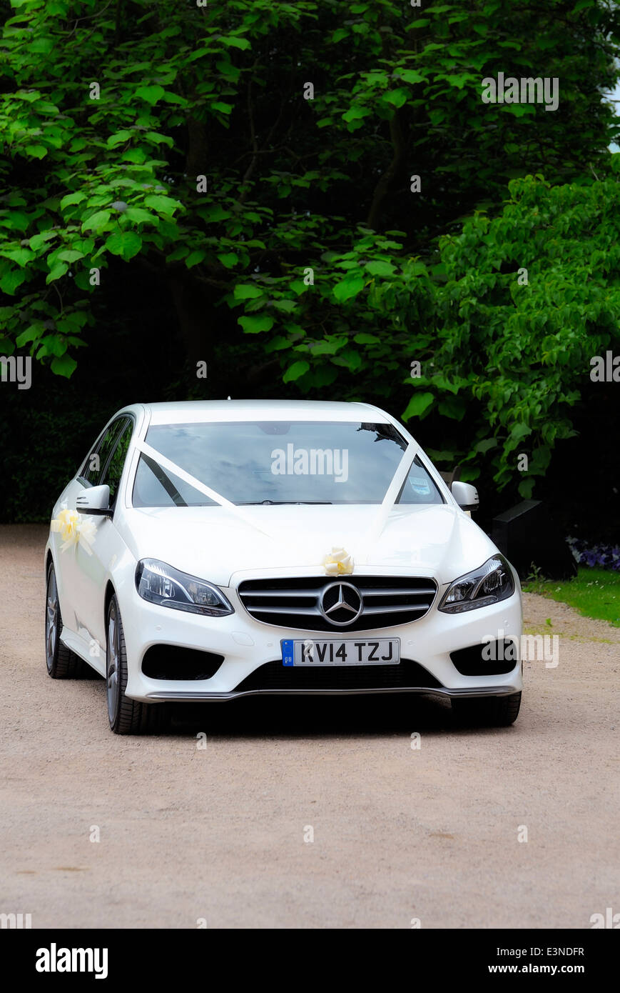 White Mercedes Benz wedding car England UK Stock Photo