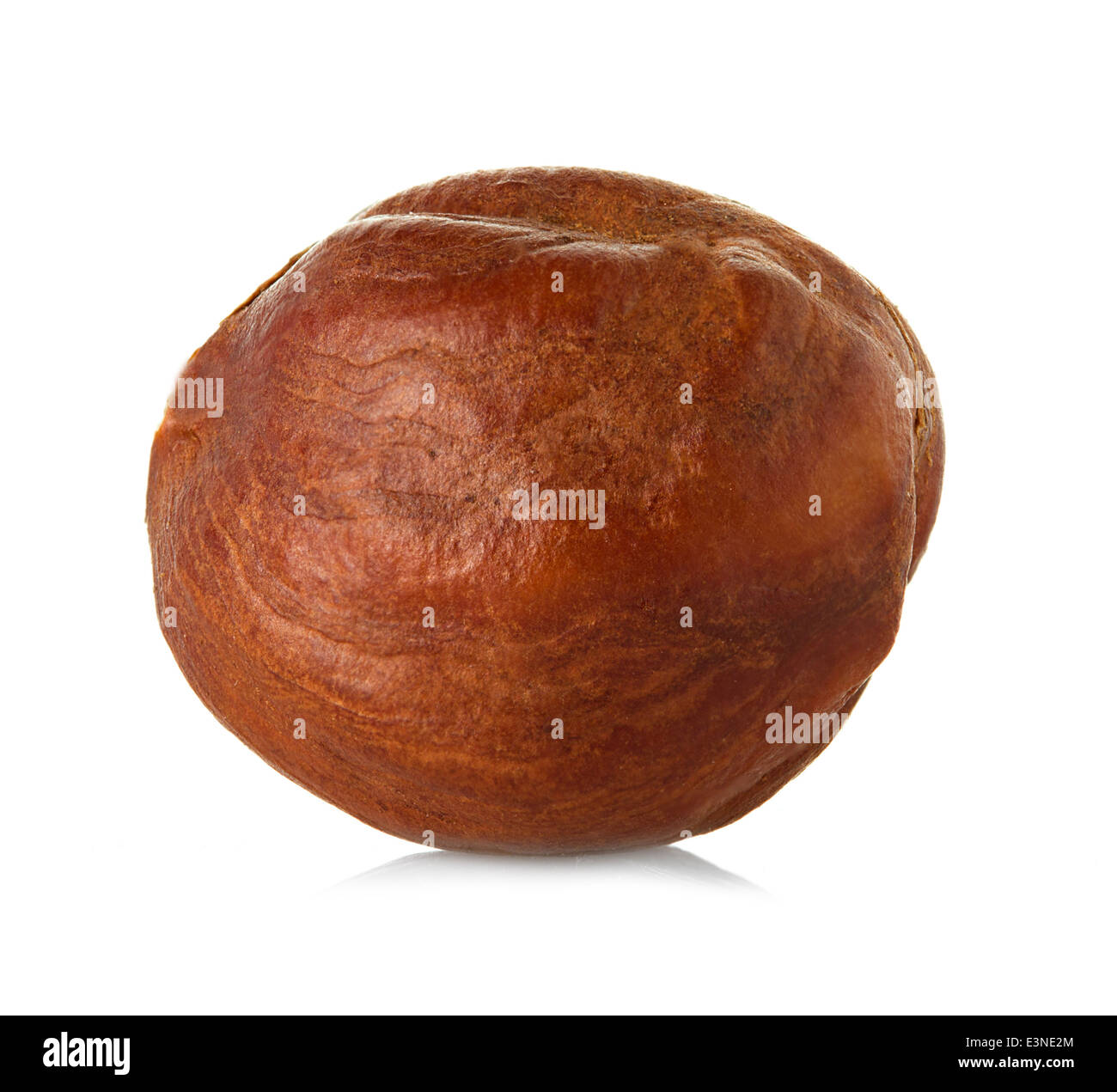 hazelnut close up on white background Stock Photo - Alamy